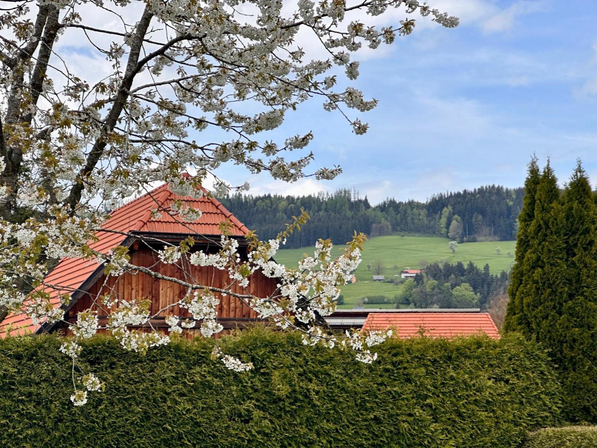Romantic Chalet - Alpine Getaway Salzkammergut Viechtwang Exterior photo